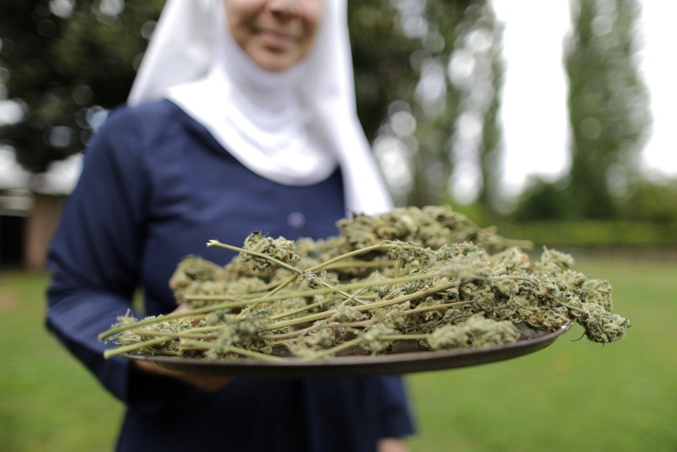 Monjas venden marihuana