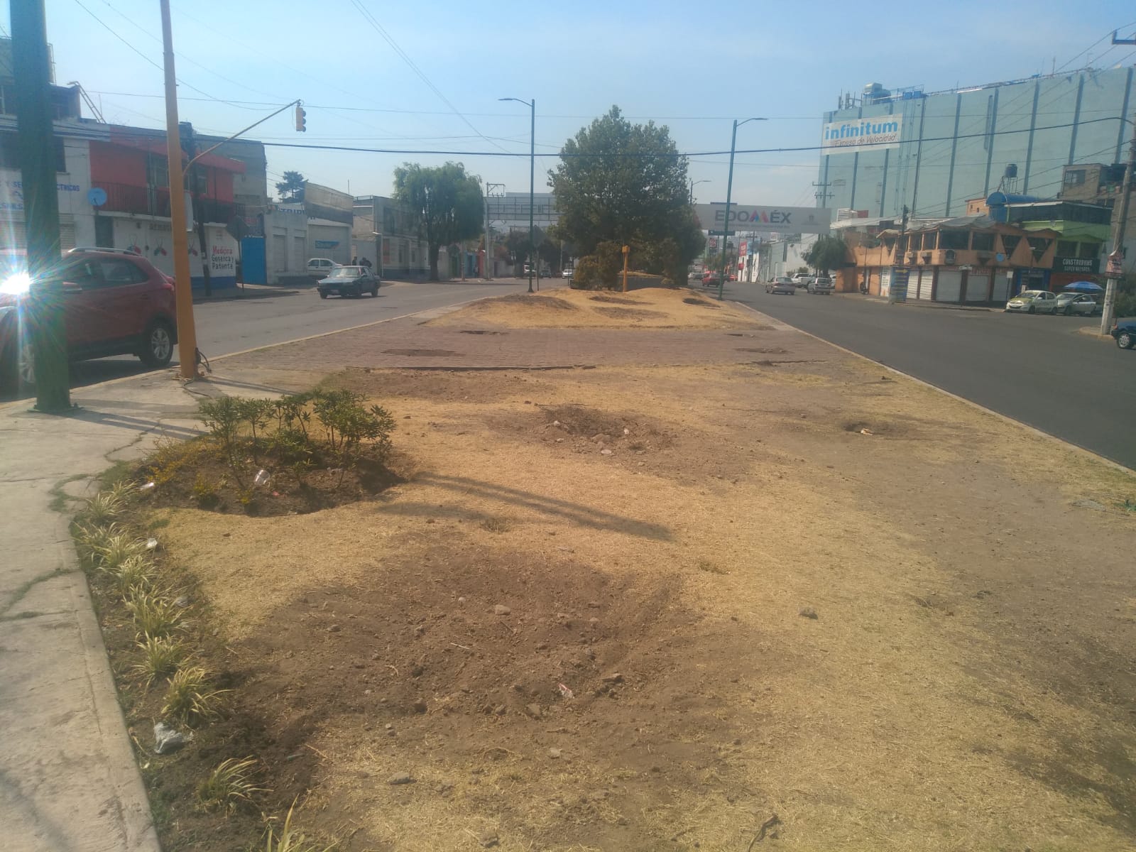 Retiran árboles en Pino Suárez para construir obra pluvial en Toluca