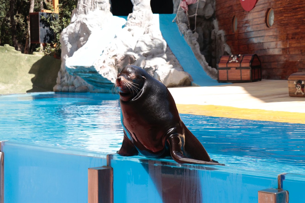 Visita Chapa de Mota y conoce su zoológico