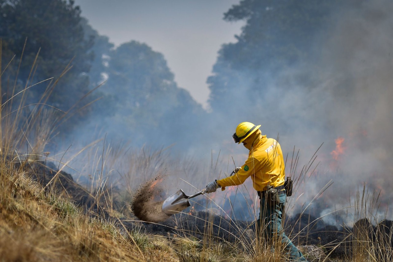 Combatientes de incendios