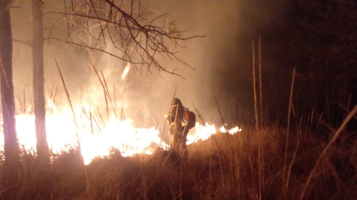 Incendio forestal consume ocho hectáreas en Texcoco