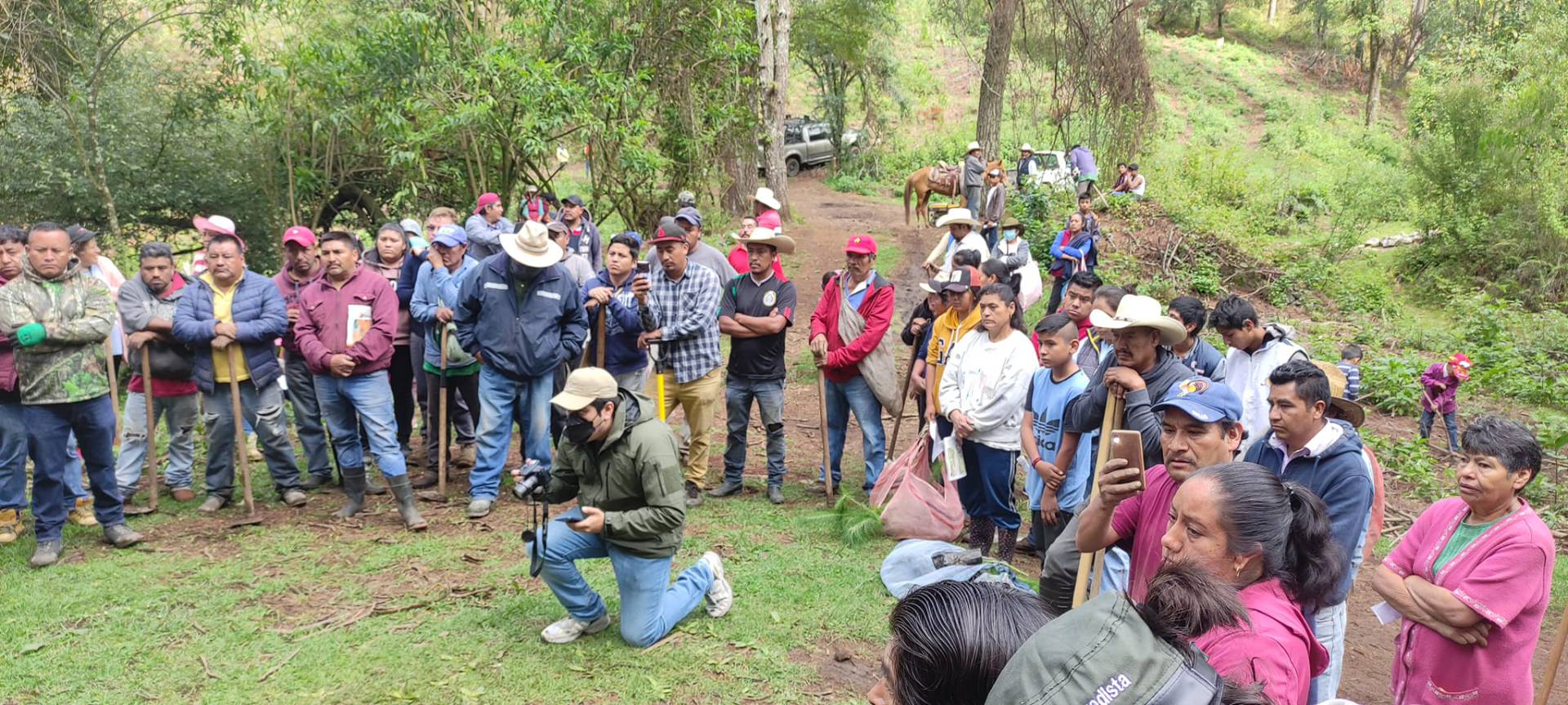 Pobladores de Ocuilan realizaron reforestación en zona afectada por tala