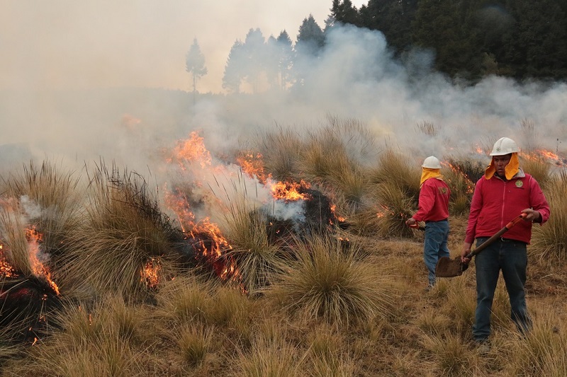 Edomex primer lugar en incendios forestales