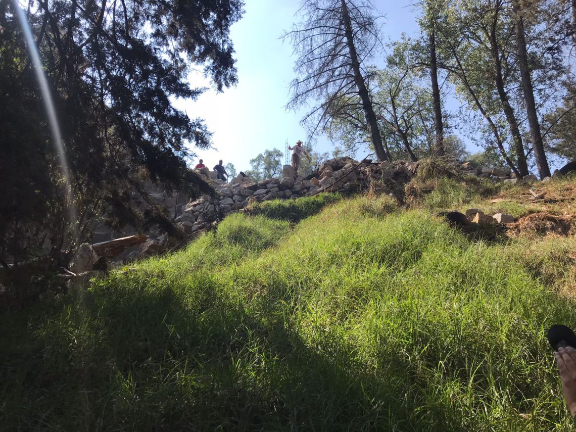 Bosque de los remedios en peligro de extinción