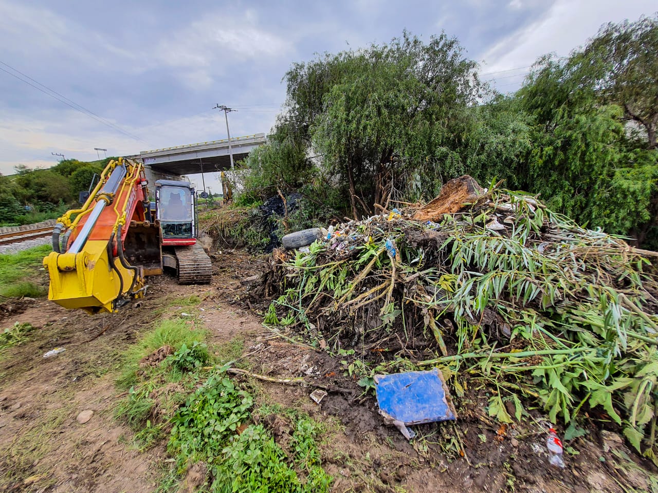 Cauce del Río San Juan obstruido por ramas, troncos y basura