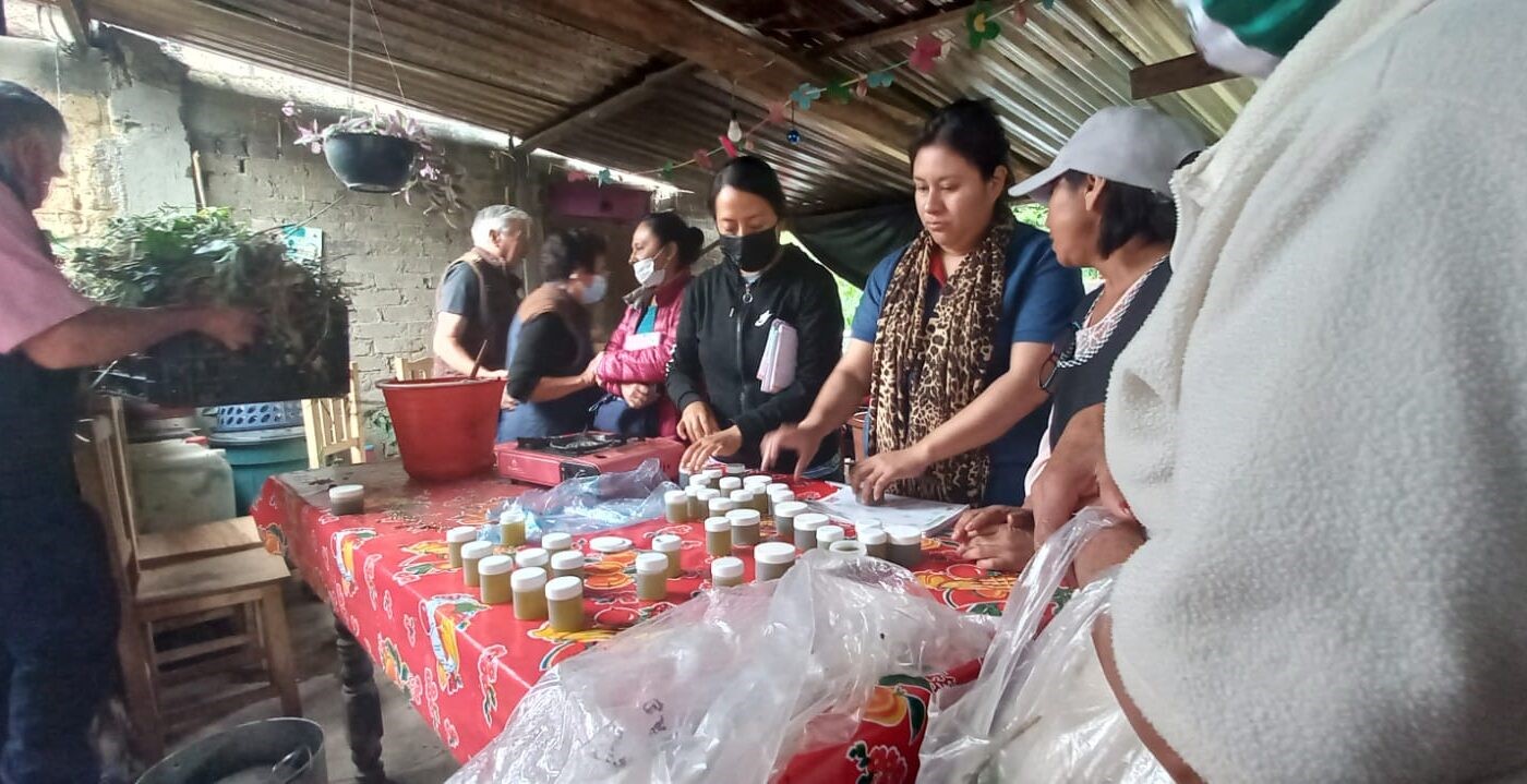 Campesinos de Ozumba producen pomada con hiervas medicinales