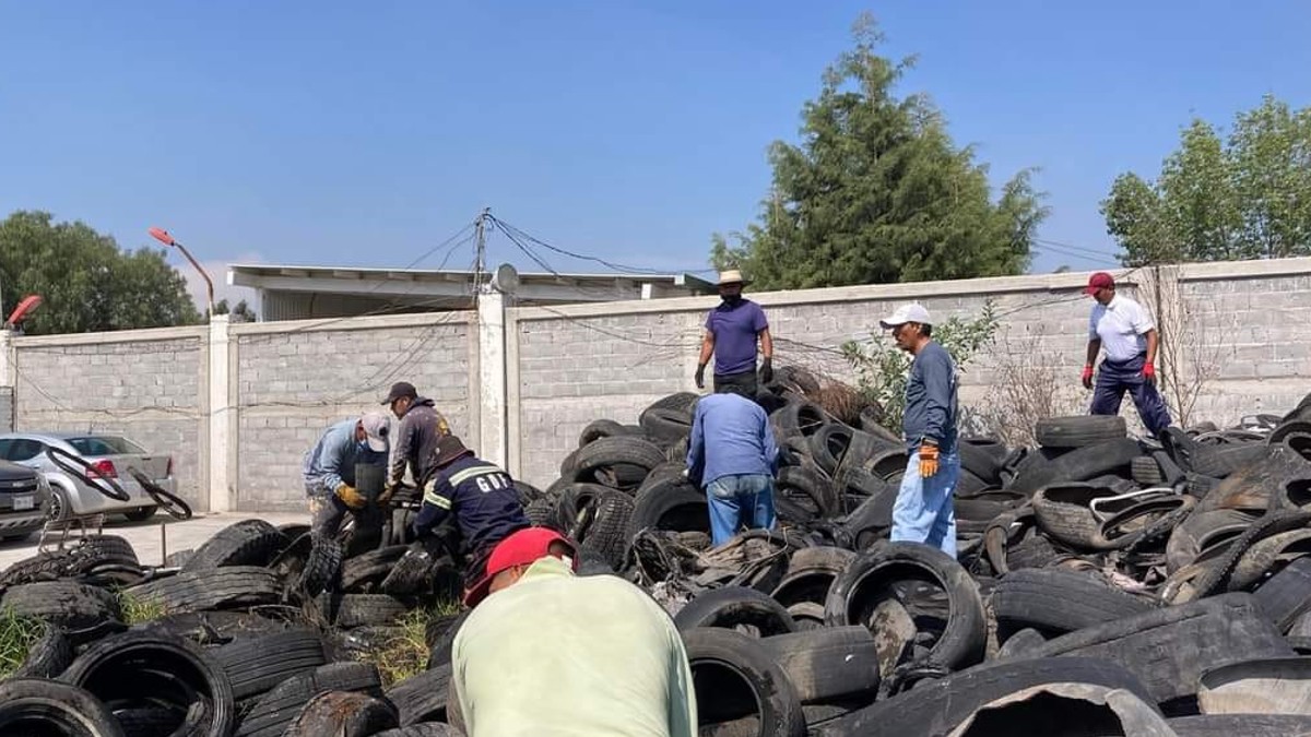 Más de 55 toneladas de llantas dejarán de ser foco de contaminación