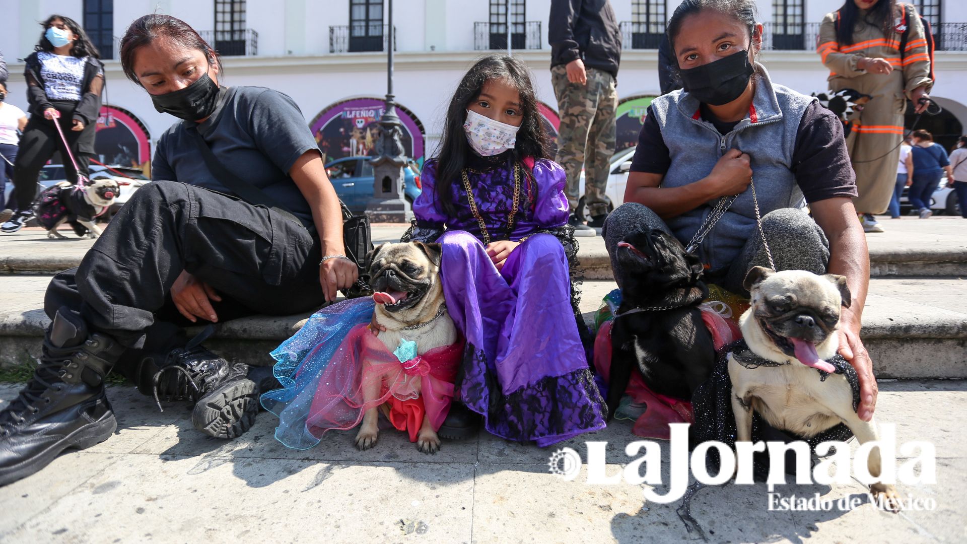 Caminata del Terror Pug