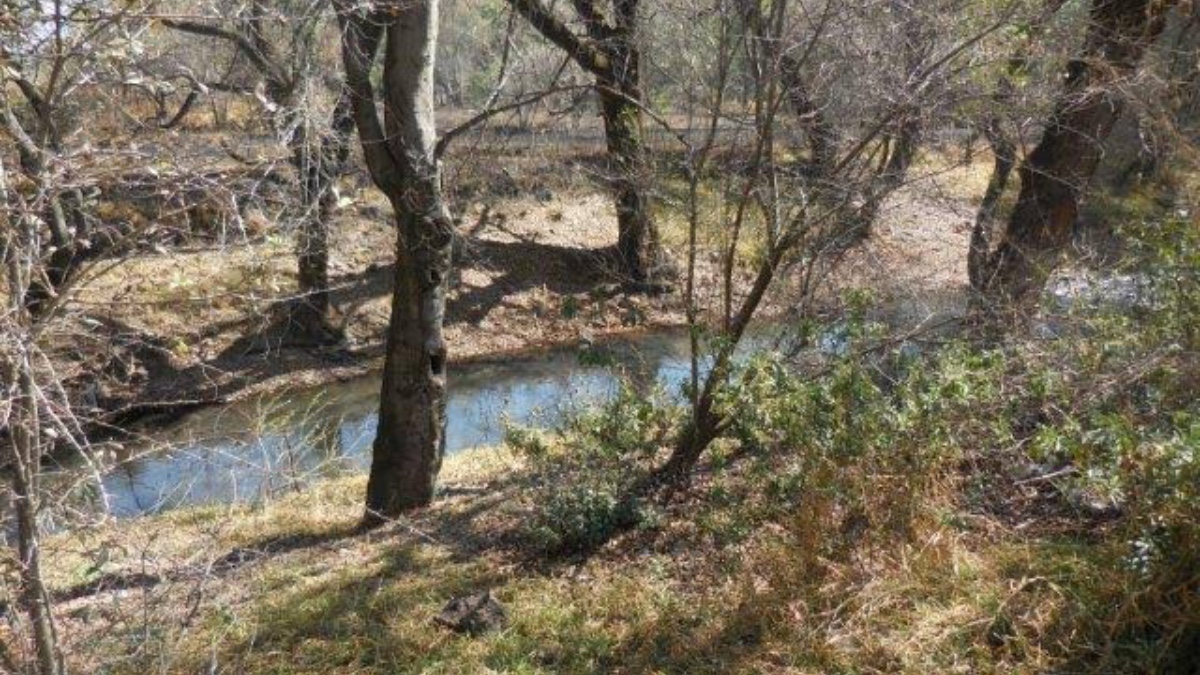 Cuautitlán Izcalli autorizó bodegas que dañan el medio ambiente