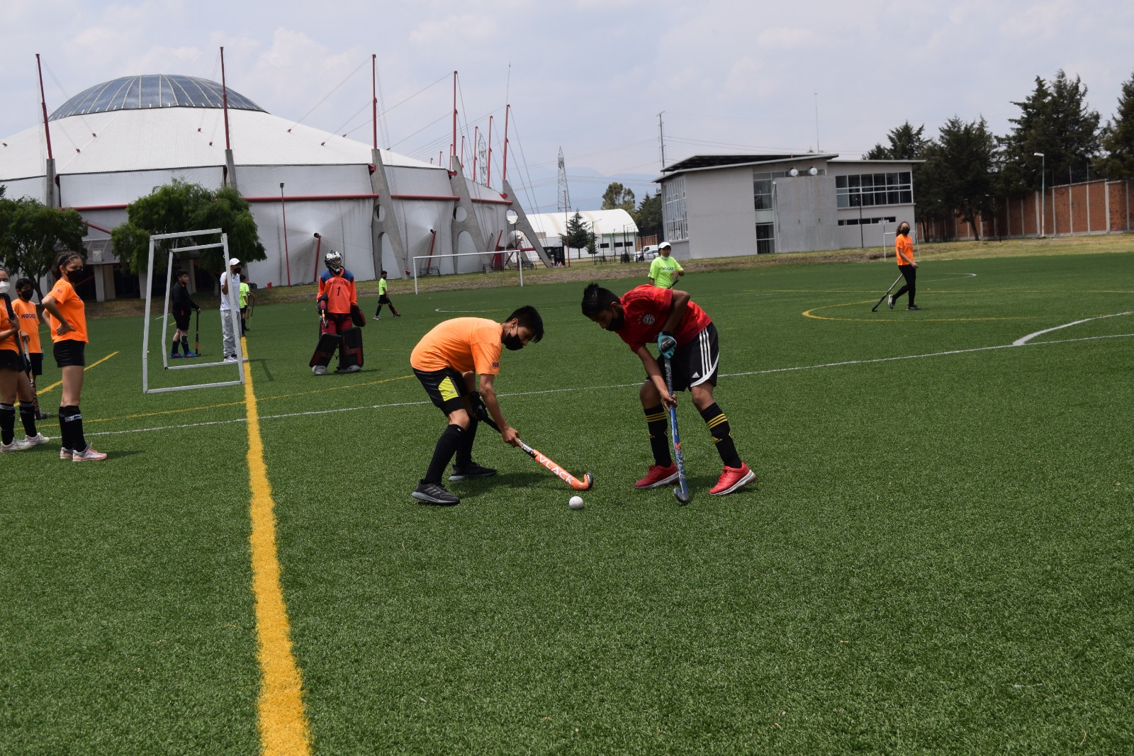 Hockey sobre Pasto