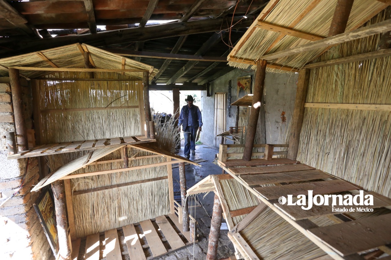 Casitas para los nacimientos una tradición familiar en Toluca