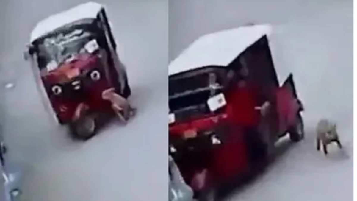 (VIDEO) Perro atropella a un mototaxi