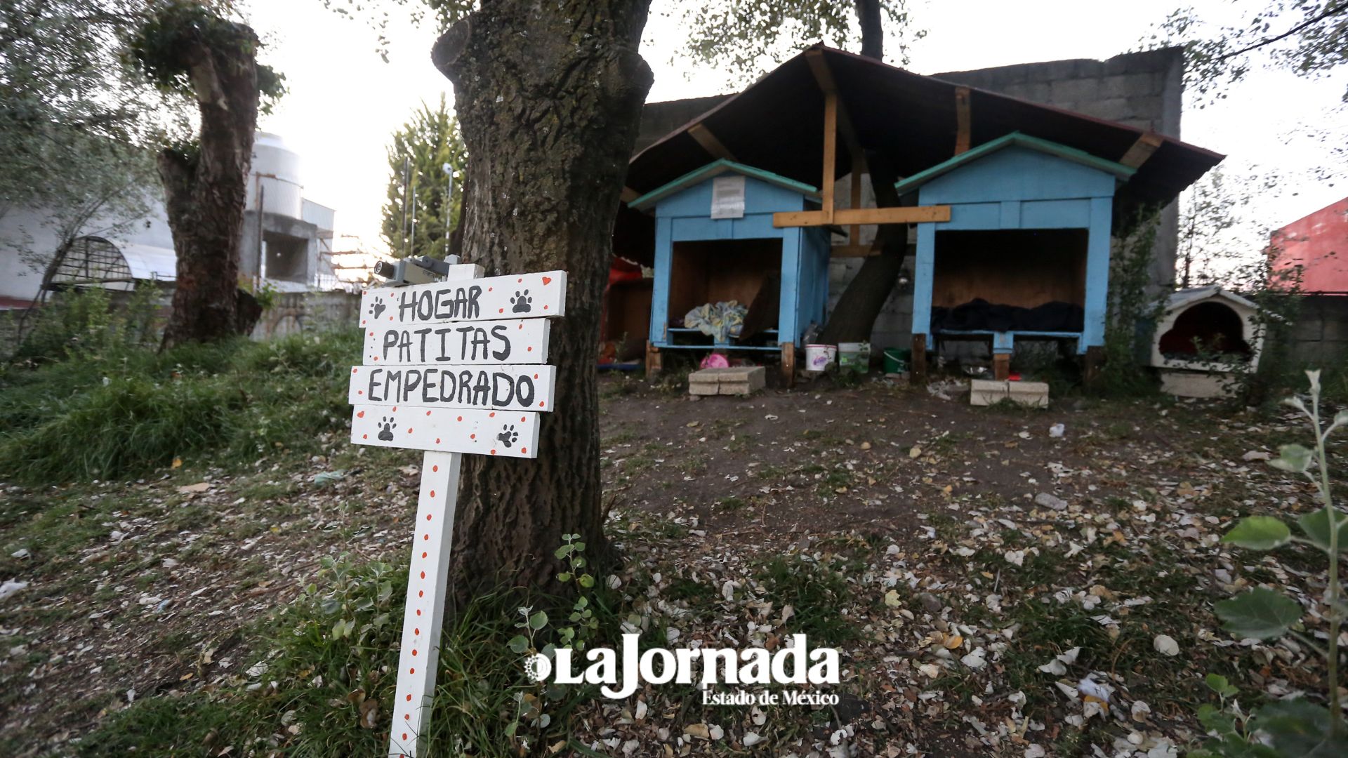 hogar-patitas-empedrado