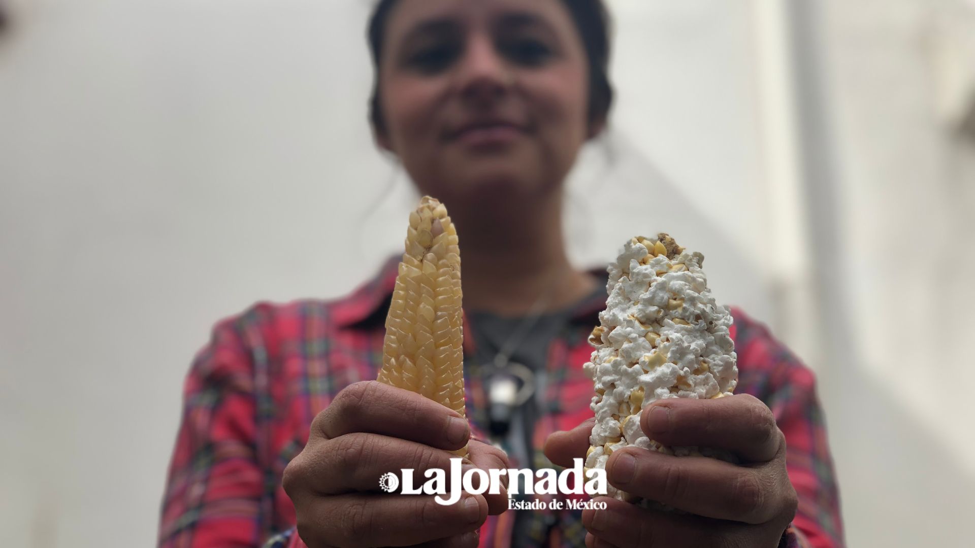 Palomitas de maíz: De Toluca para el mundo