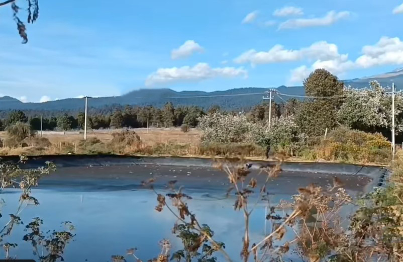 Joven es localizado sin vida cerca de Rancho turístico de Amecameca