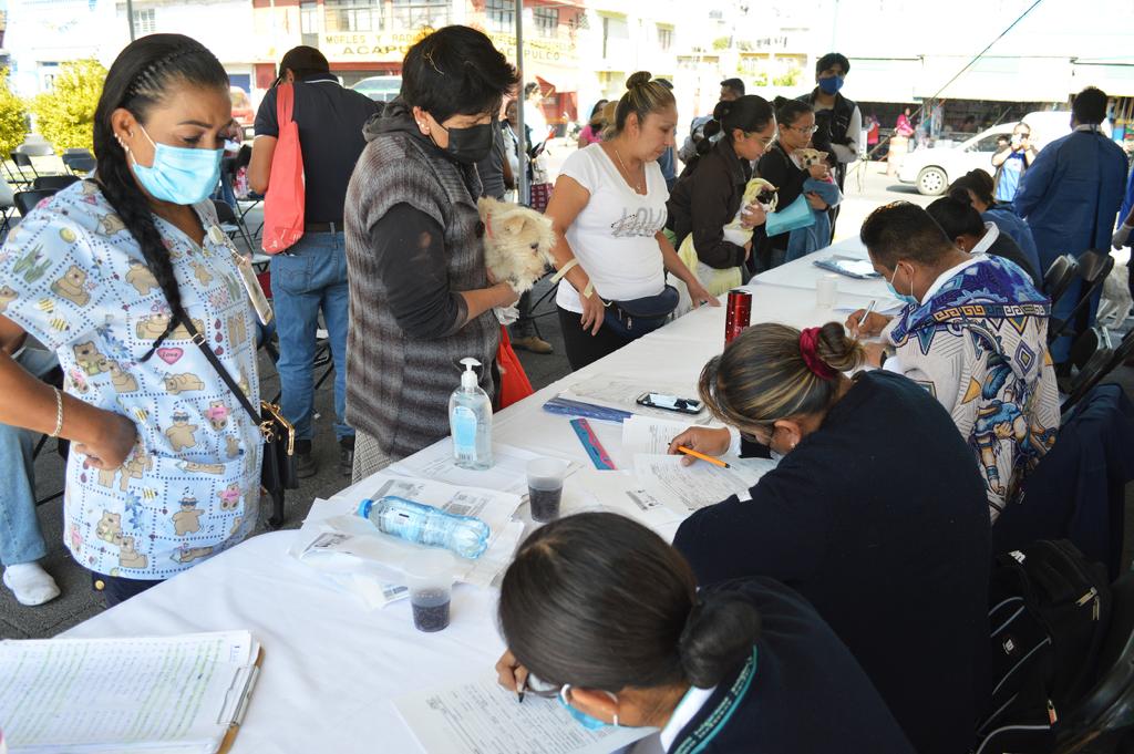 Chimalhuacán sin casos de rabia canina