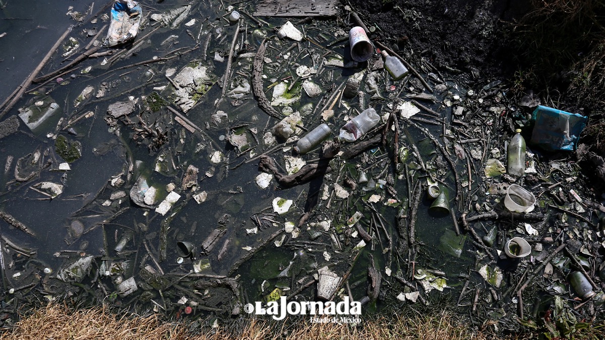 Vecinos recriminan que las jornadas de limpieza de basura de la laguna de la Alameda 2000 son insuficientes