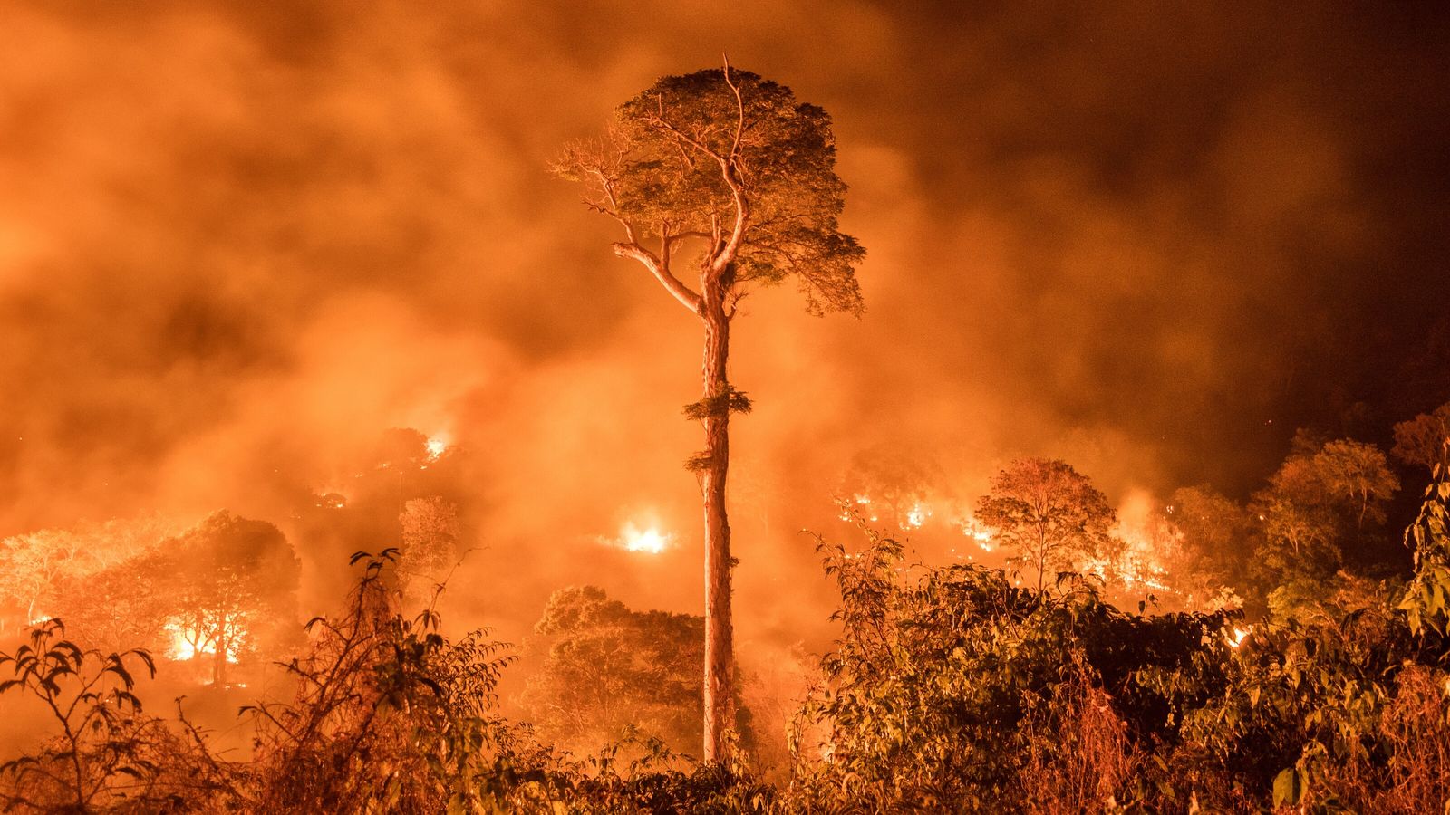 Protección Civil en Toluca pide a la población prevenir incendios forestales