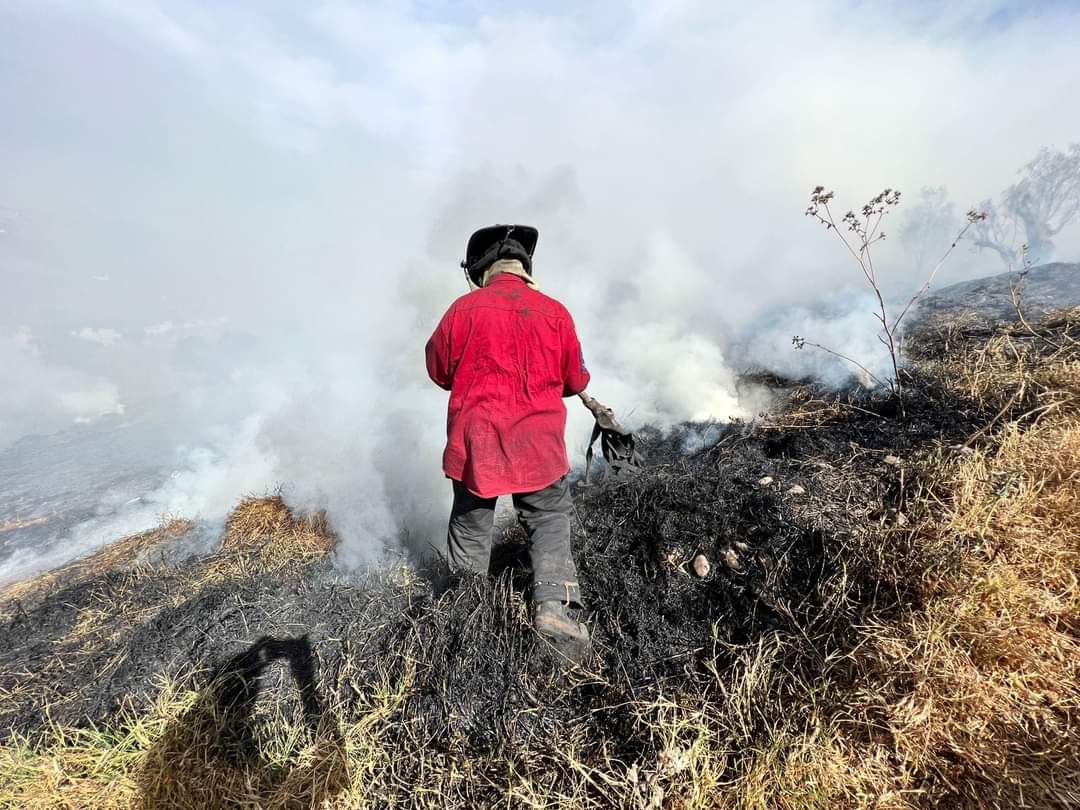 Bomberos controlan incendio de pasto en cerro de San Martín en Atizapán