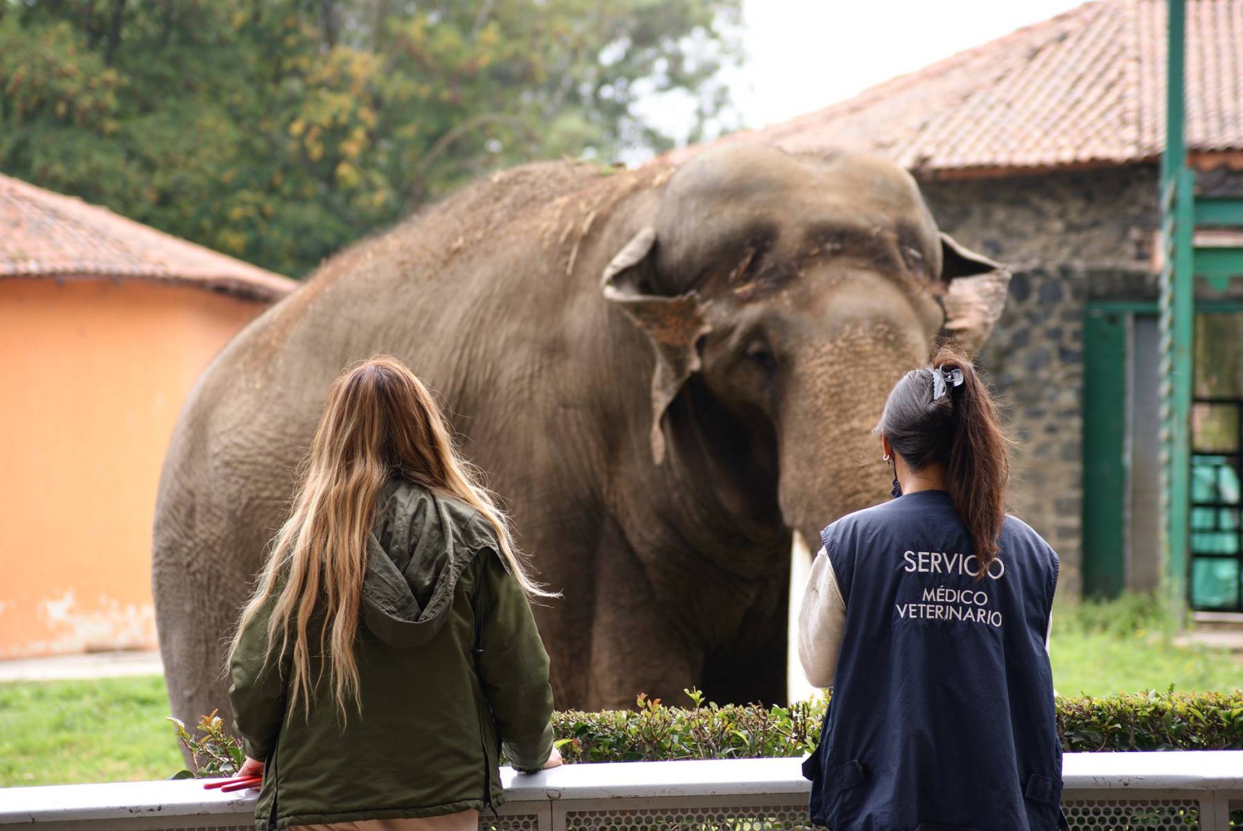 Nuevos integrantes se suman a la fauna del Parque Ecológico “Zacango”