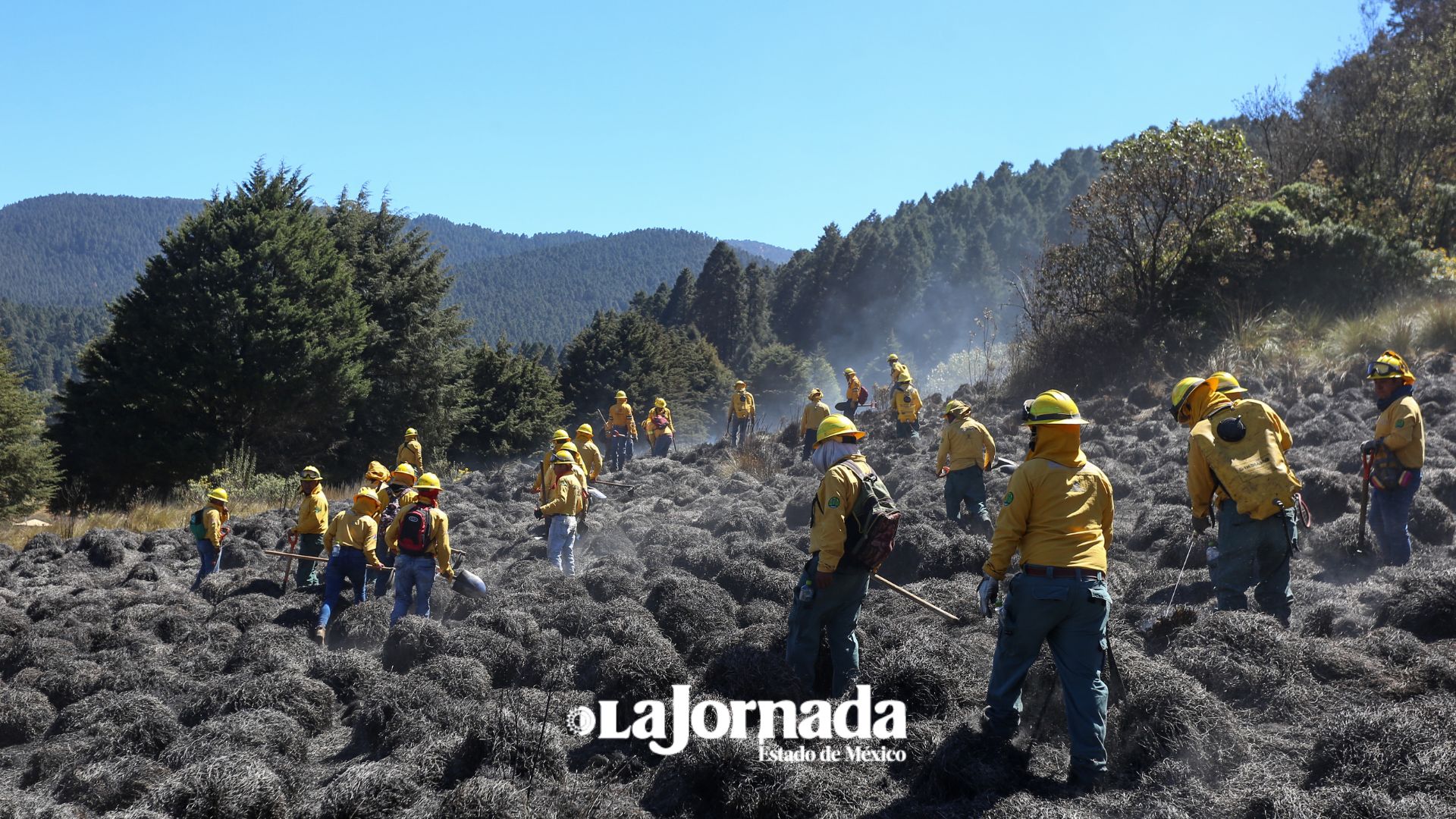 Edomex reporta en promedio 12 incendios forestales al día