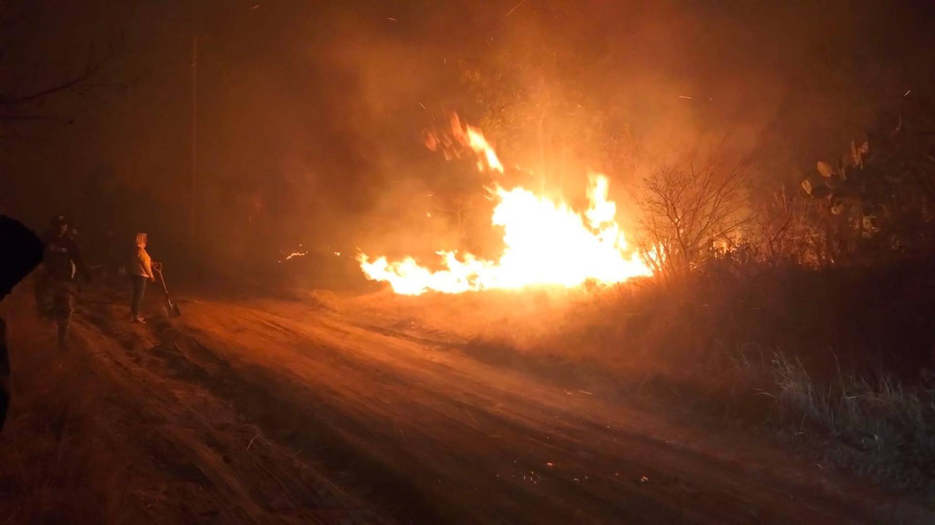 Incendio forestal en Texcoco arrasa con vegetación y arbolado en la montaña