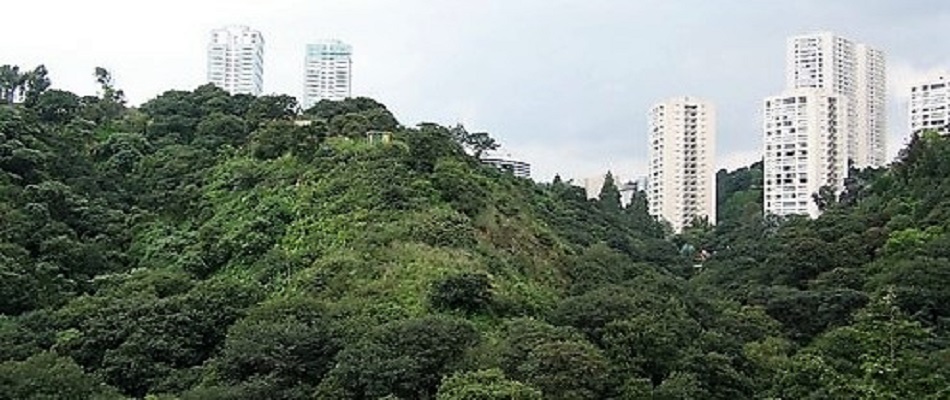 Barrancas Río la Pastora, de la Loma y San Joaquín pierde categoría de área protegida