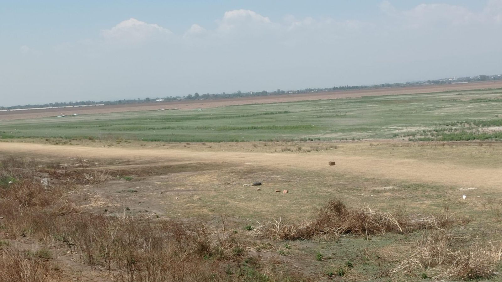 Reportan severa sequía en la Laguna de Zumpango