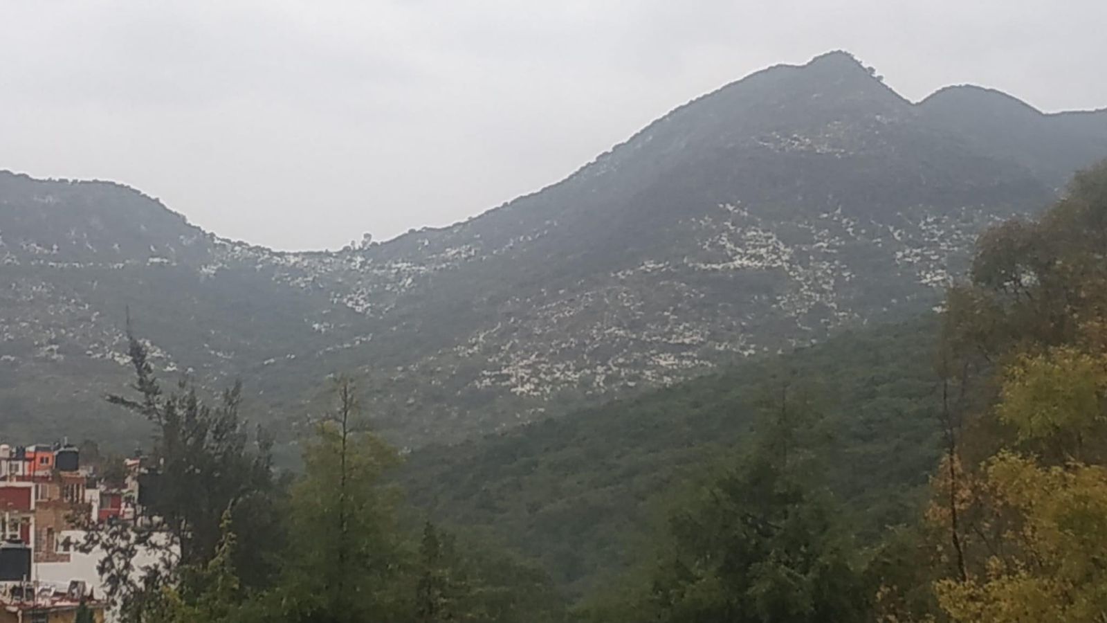 Conservación de la Sierra de Guadalupe piden a Alejandra del Moral