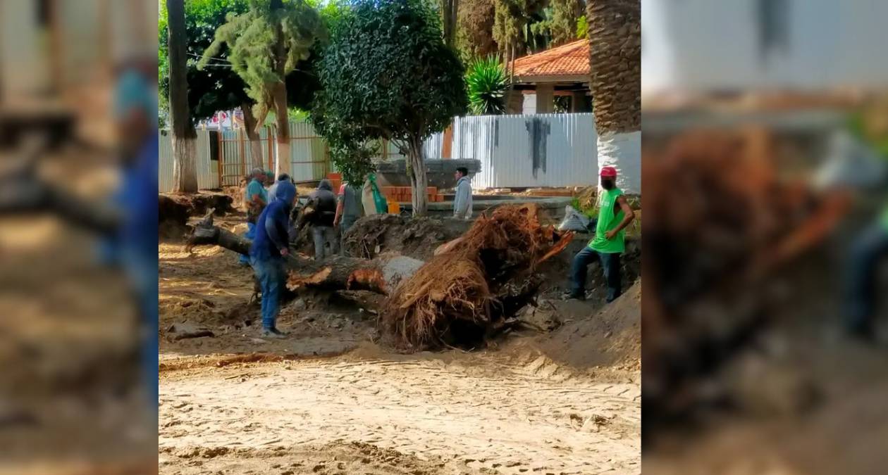 Denuncian vecinos atentado ecológico en Chimalhuacán