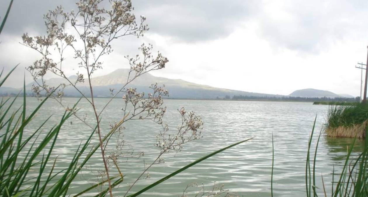 Valle de Chalco: Busca apoyo de la ONU para rescatar Lago Xico