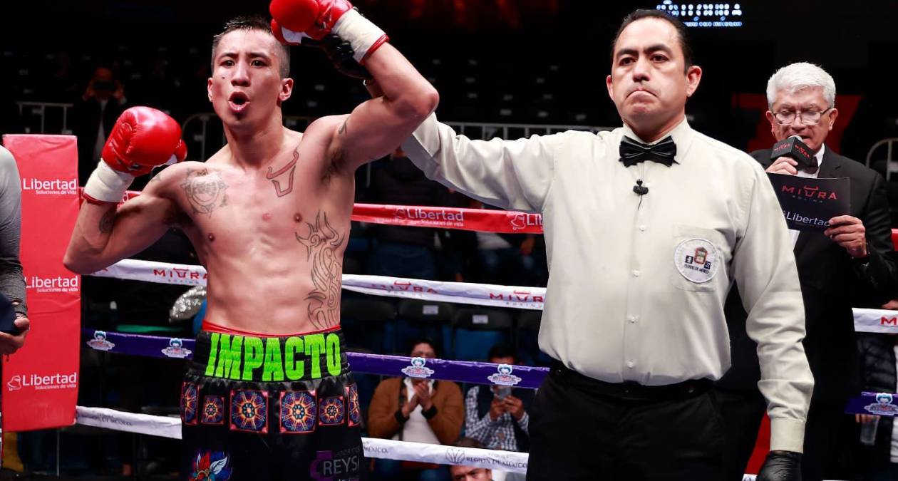 Metepec: Noche de knockout en función de box