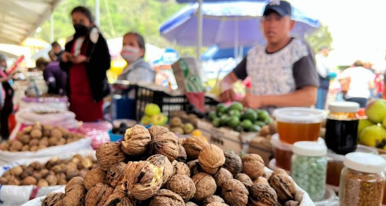 Todo listo para el “Festival Cultural de la Nuez, en Amecameca”