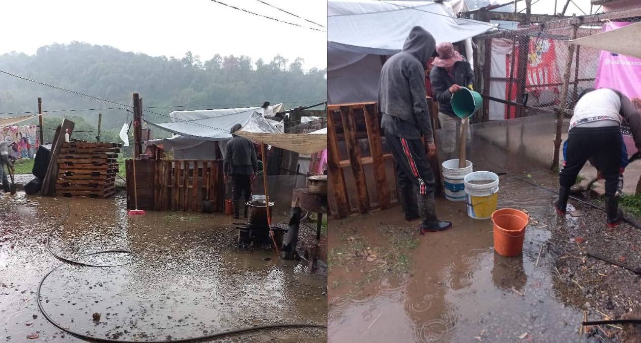 Amecameca: Lluvia causa daños a albergue canino, protectores buscan apoyo