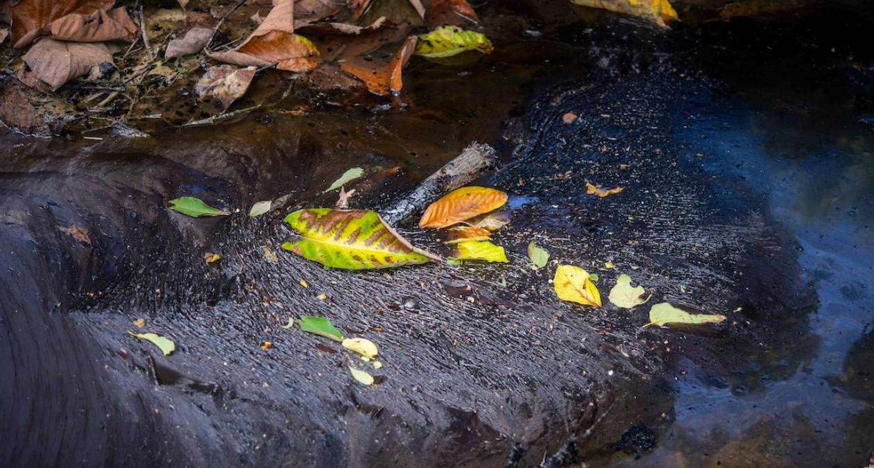 Ambientalistas acusan a Pemex de ocultar derrame de crudo