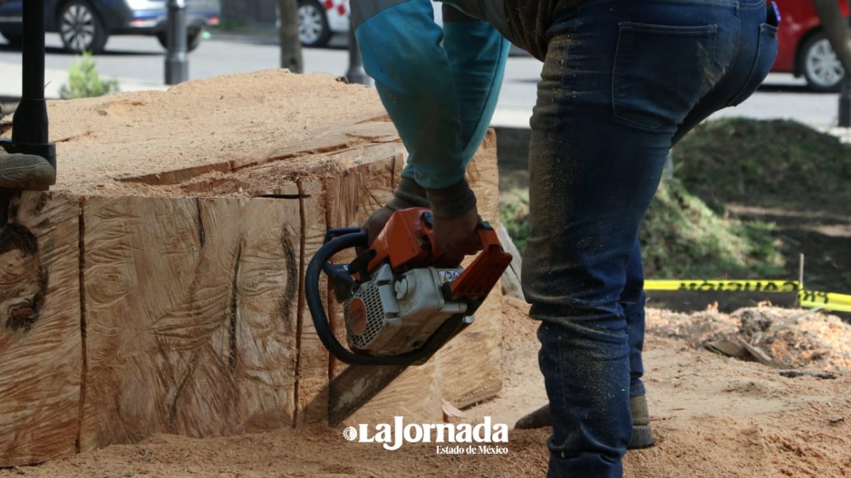 Jardín Zaragoza en Toluca: Para colocar monumento talan árboles