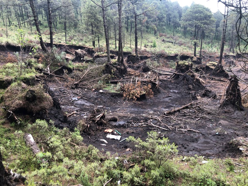 Jilotzingo y Atizapán disputan 103 hectáreas de bosque