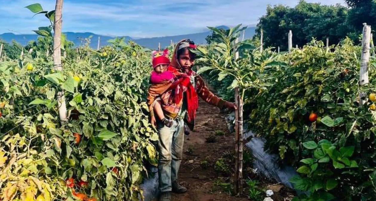 Atlautla: Dan a conocer ganadores del concurso “Amor por el Campo”