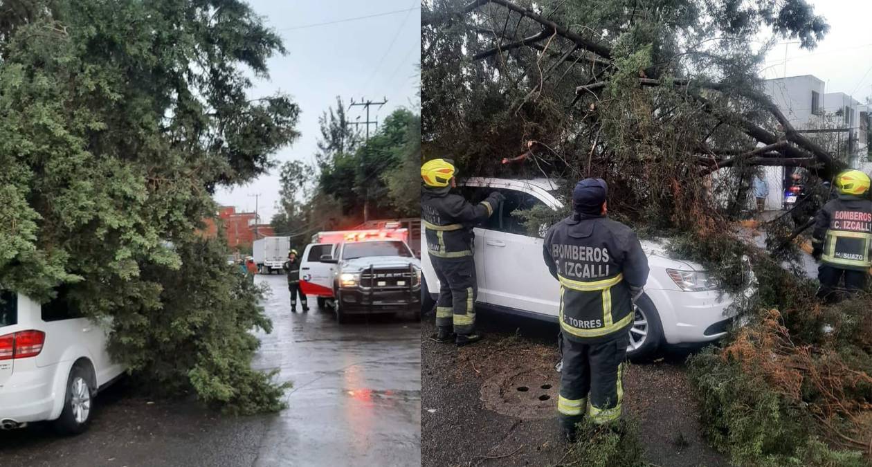 Cuautitlán Izcalli: Registran caída de árboles en distintas zonas