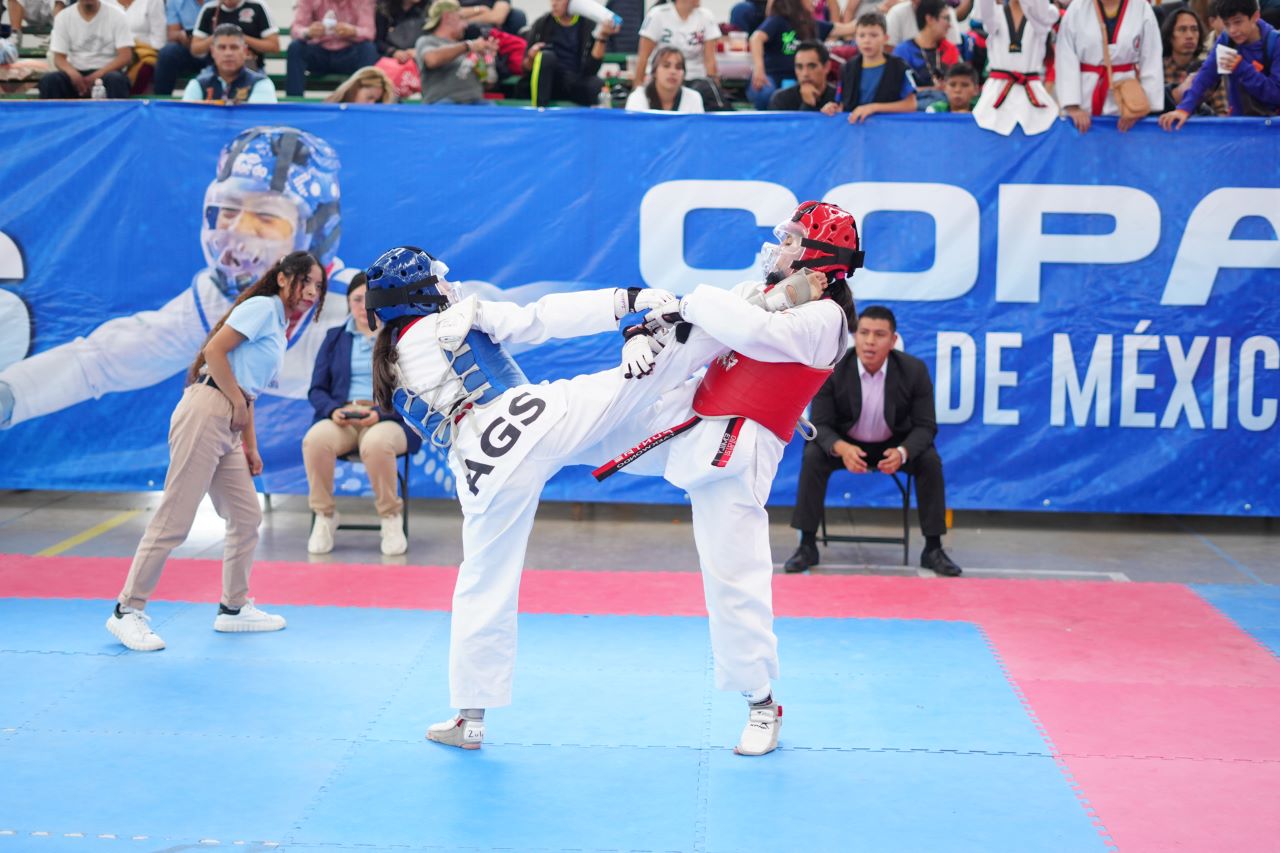 Copa Taekwondo en el Estado de México llega a su final