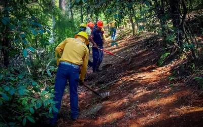 Ixtapaluca pierde 400 hectáreas de bosque en el último año