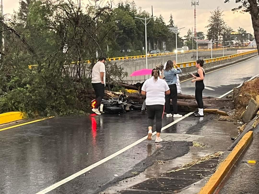 Cayó un pesado árbol sobre un motociclista en Atizapán