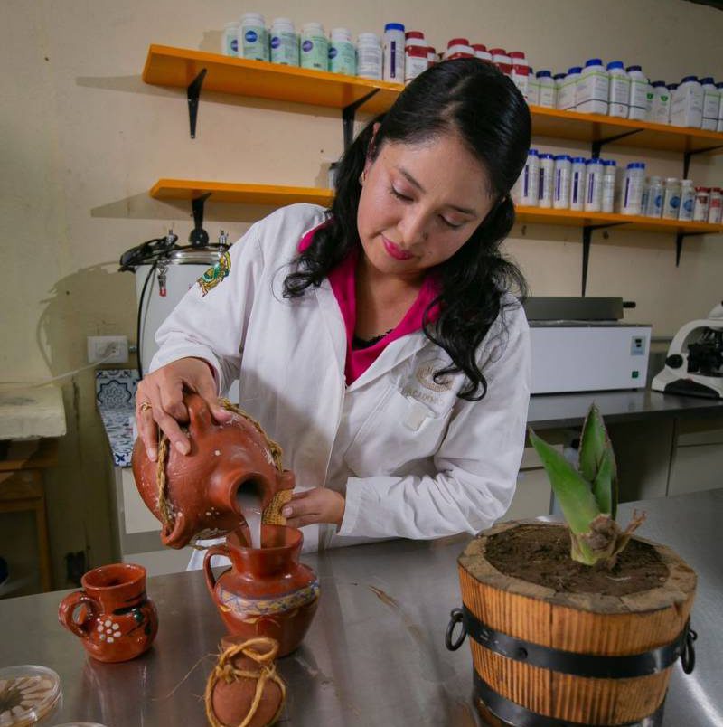 Estas son las características microbiológicas del pulque