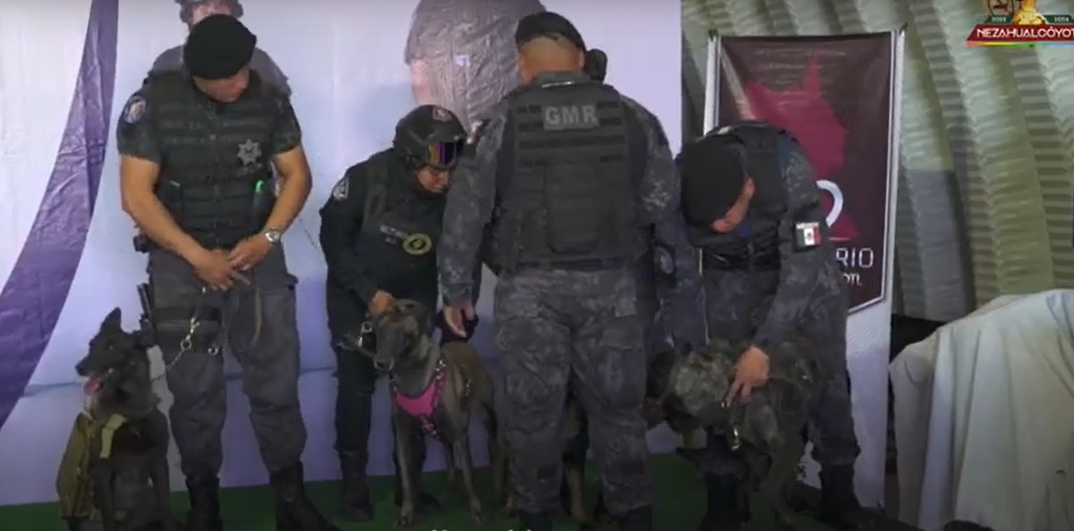 El alcalde Adolfo Cerqueda Rebollo informó que la unidad canina de inteligencia inició ya las operaciones correspondientes para cuidar las escuelas de la entidad. Foto: Especial K9 Neza