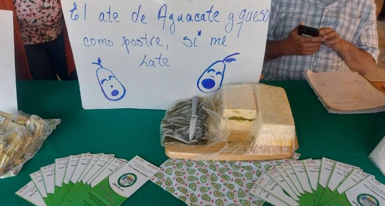 Productores de la Región de Los Volcanes  buscan industrializar aguacate