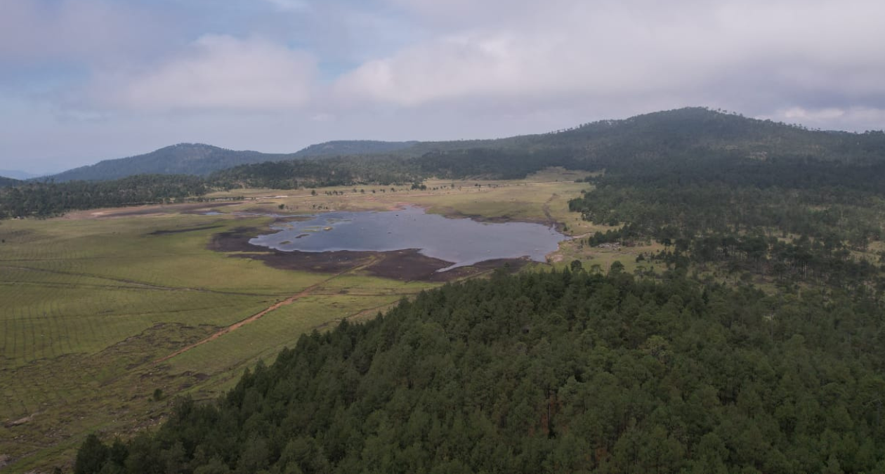 Edomex: Advierten protección de Bosques de agua o escasez de agua agravara