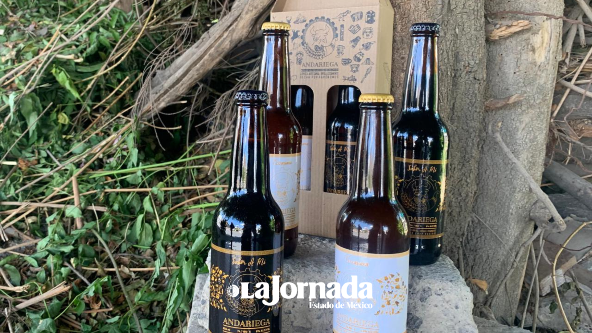 Chapingueros emprenden con cerveza artesanal