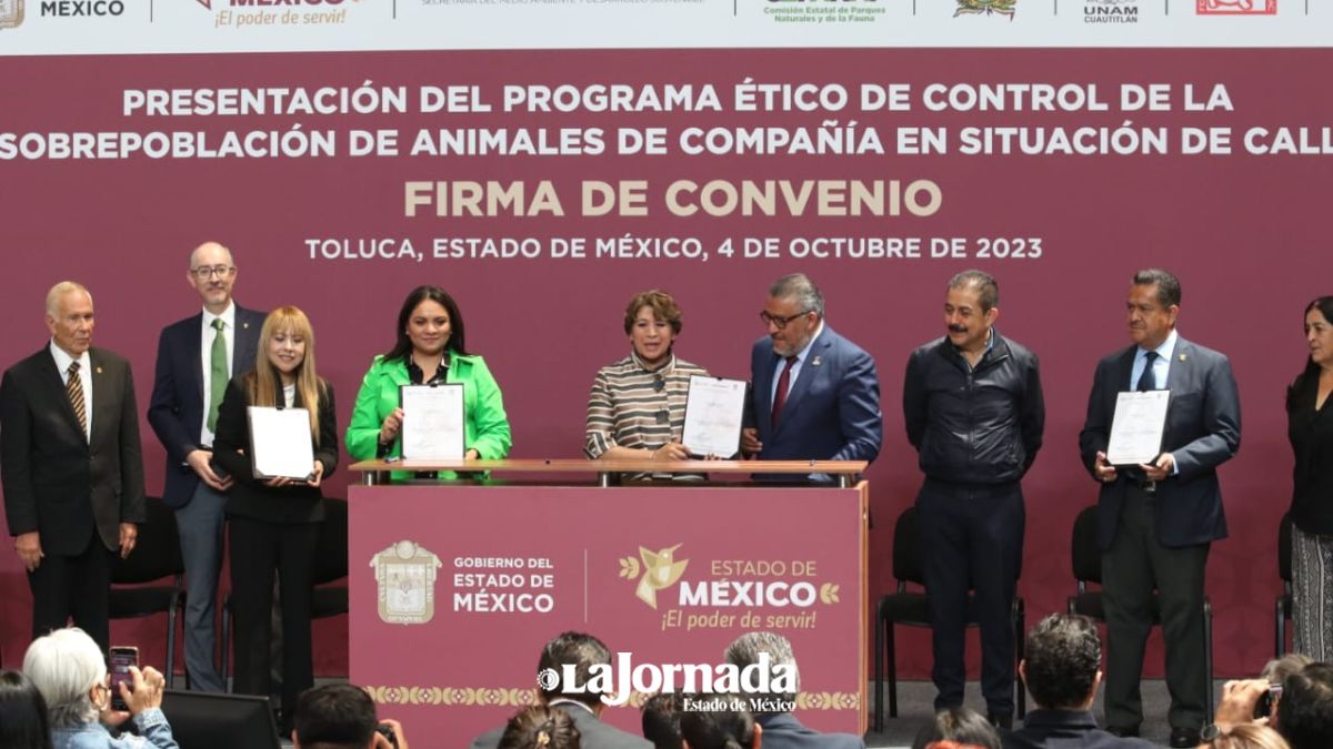 Delfina Gómez lanza programa de atención a mascotas de la calle