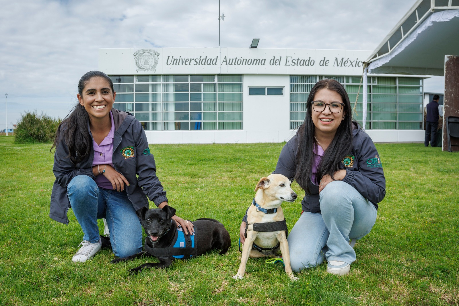 Toluca: Habrá campaña de esterilización para perros y gatos