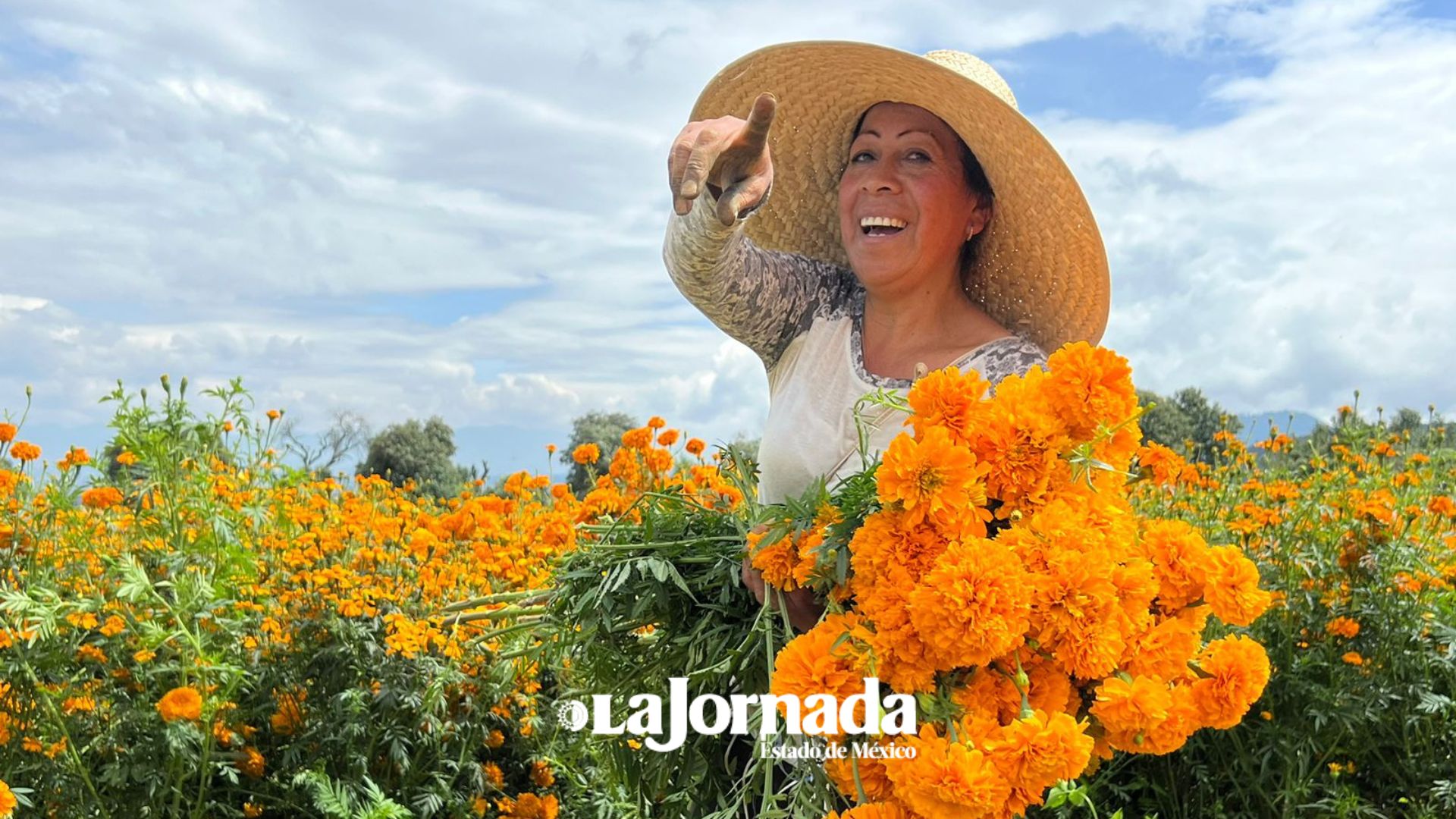 San Francisco Putla listo para surtir flor de cempasúchil